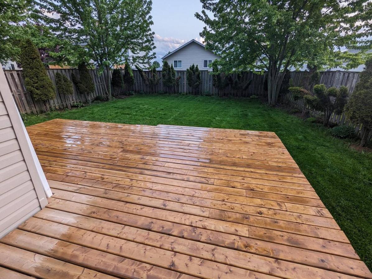 Adorable 4 Bed,3 Bath House Vila Kingston Exterior foto